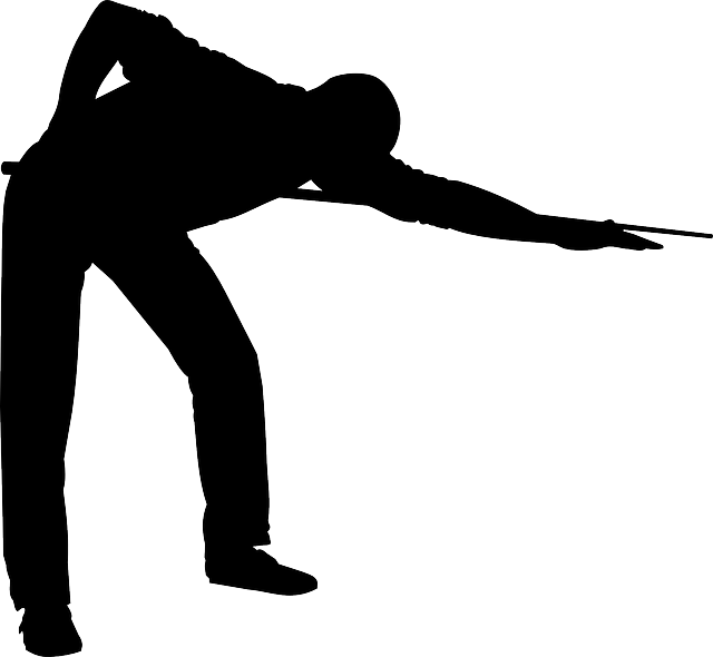 Snookerpalast-Portal